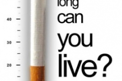 _how-long-live-v