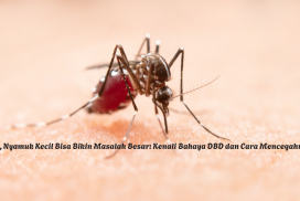 Awas, Nyamuk Kecil Bisa Bikin Masalah Besar: Kenali Bahaya DBD dan Cara Mencegahnya!
