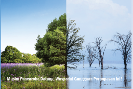 Musim Pancaroba Datang, Waspadai Gangguan Pernapasan Ini!